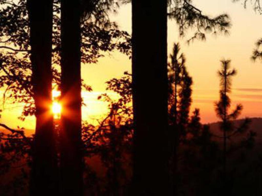 Sierra Sun Cloud Inn - Colfax (Adults Only) Экстерьер фото